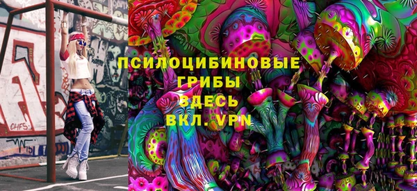 ГАЛЛЮЦИНОГЕННЫЕ ГРИБЫ Струнино