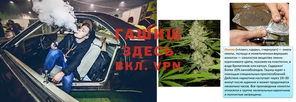 ГАЛЛЮЦИНОГЕННЫЕ ГРИБЫ Струнино
