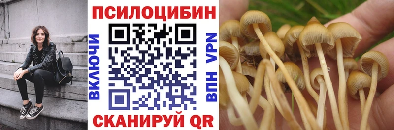 Галлюциногенные грибы Psilocybine cubensis  Иноземцево 